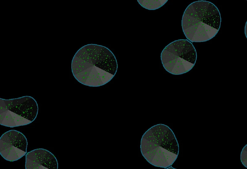 Dynamic Content Image